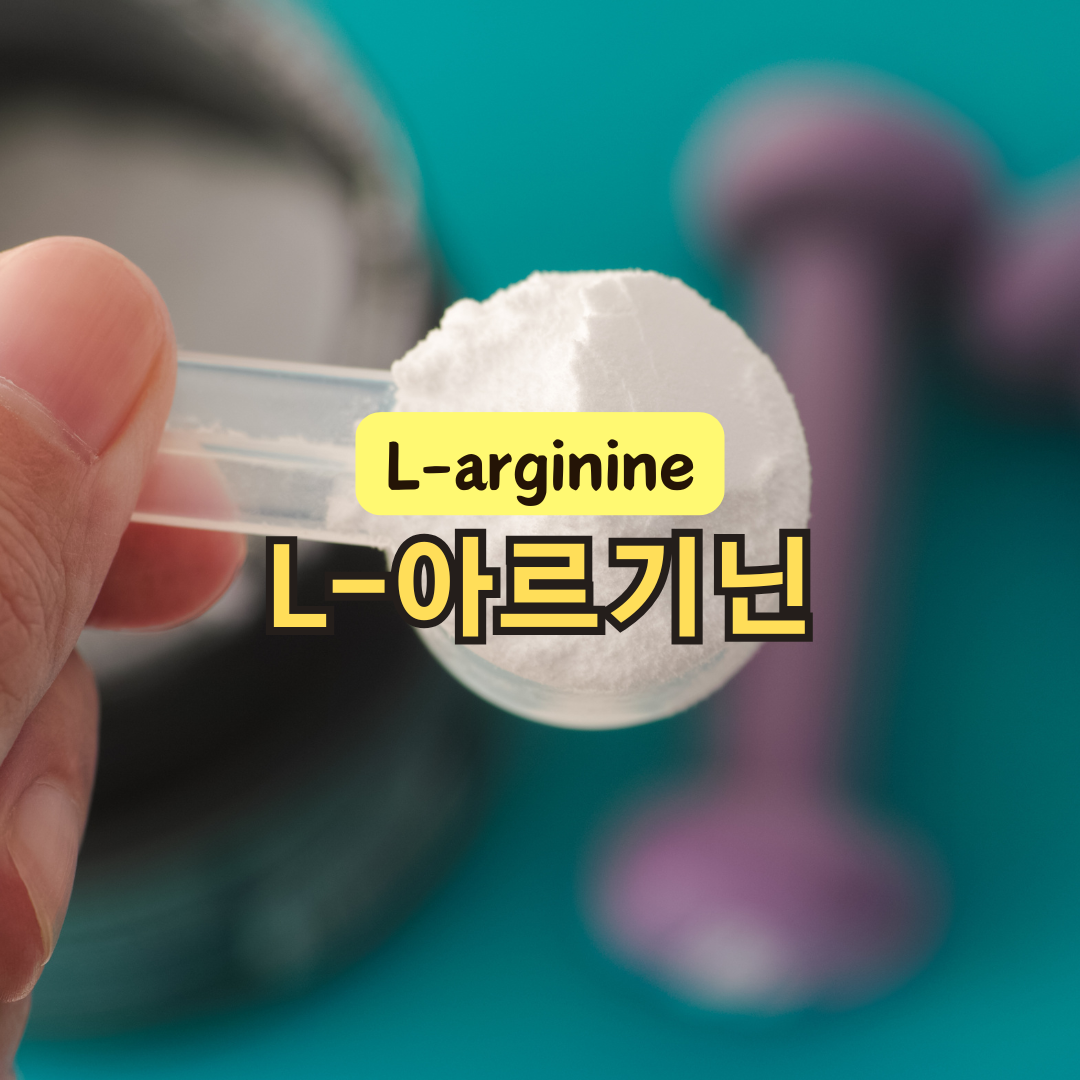 L-아르기닌 뜻 효능 복용시간 섭취방법 주의할 점 총정리