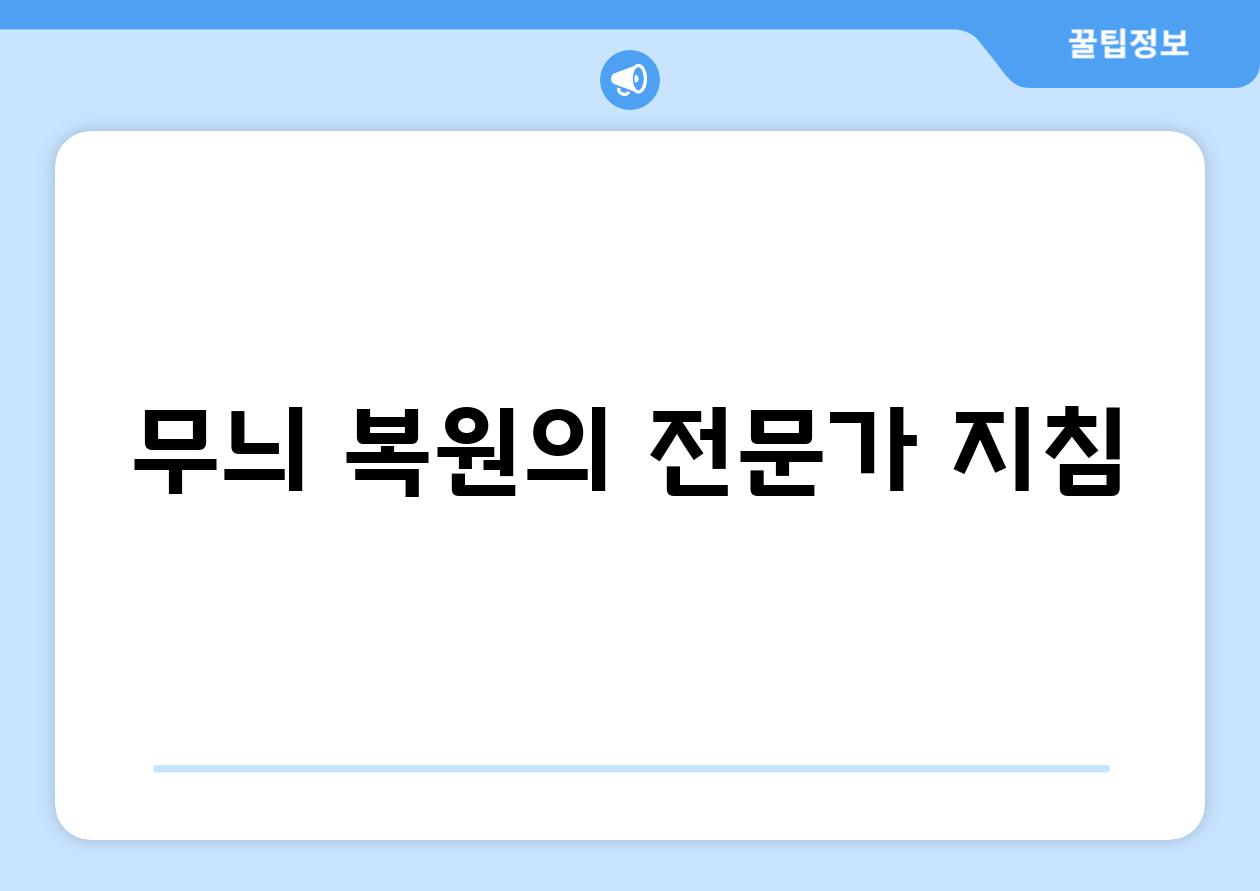 무늬 복원의 전문가 지침
