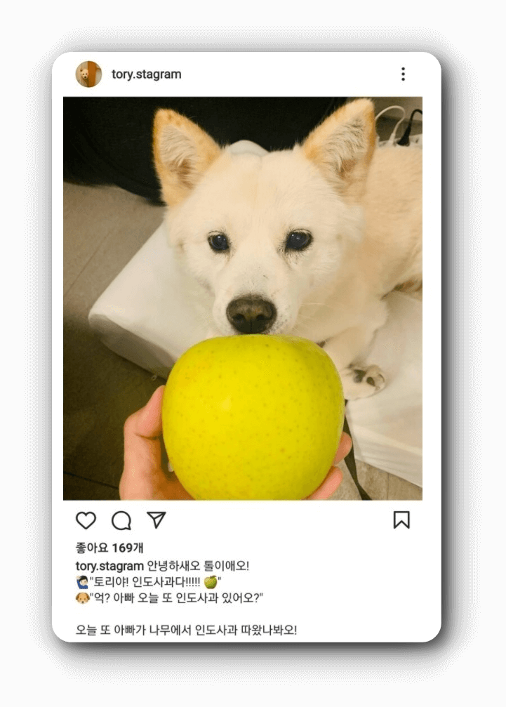  이태원 관련 국민정서 안따지는 정치 막말 논란이유 및 진정한 대국민 사과 어려운 이유(이상민 행안부장관, 한덕수총리, 천공스님, 박희영 구청장, 민주당 서영석 의원외)