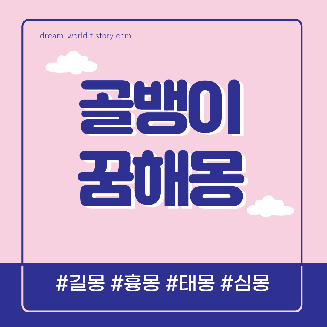  골뱅이 꿈해몽 12가지 총정리 (골뱅이 잡는 꿈, 골뱅이 줍는 꿈해몽)