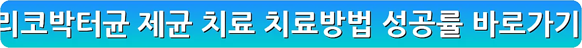 헬리코박터균 제균 치료 치료방법 성공률_12