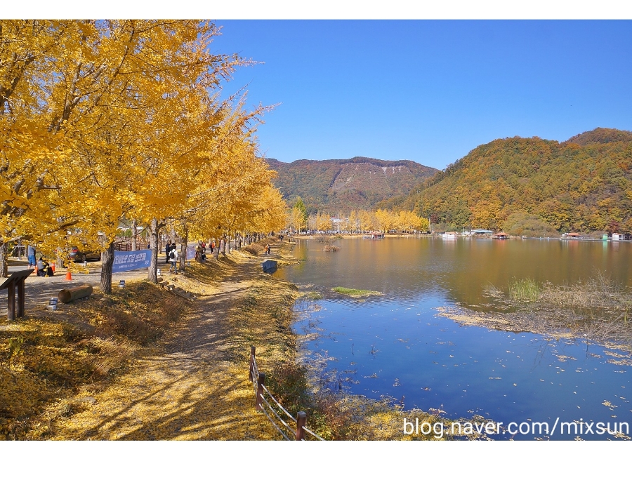 단풍구경 가볼만한 곳 괴산 가볼만한곳 5