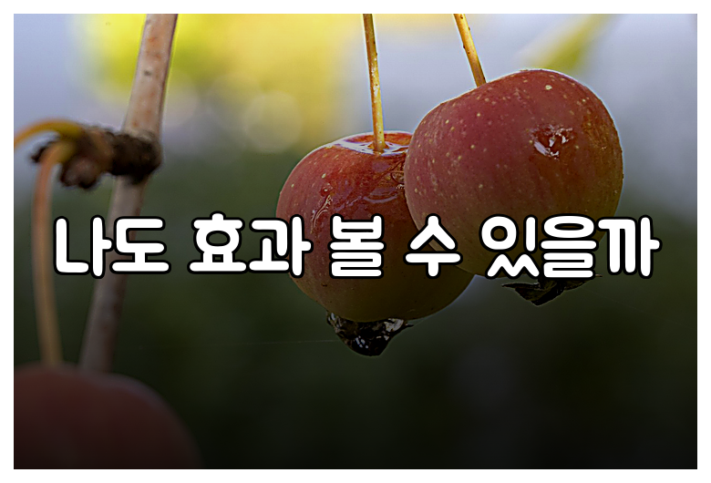 나도 효과 볼 수 있을까