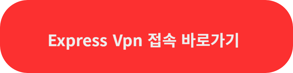 vpn접속바로가기