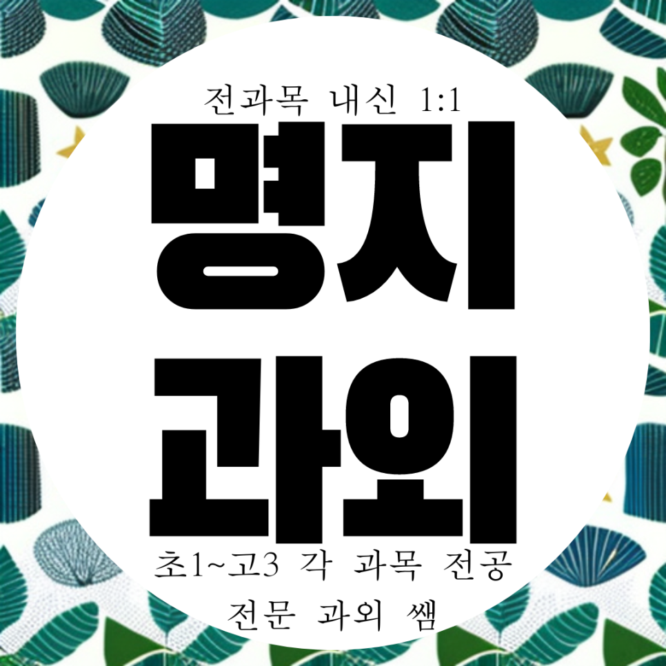  명지신도시 고등 수학과외 중학생 명지국제신도시 중등 영어과외 국어 영수 전과목