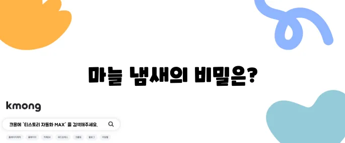 마늘은 왜 손에 냄새가 잘 안 빠질까?