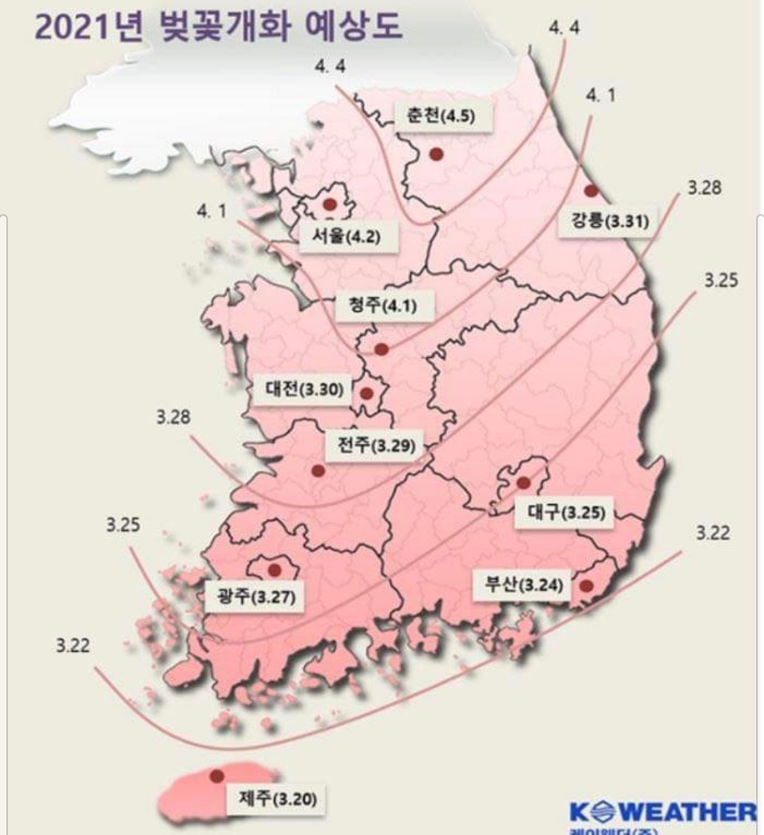  벚꽃 개화 시기 정리 (2021년)