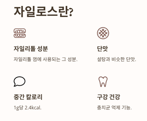 자일로스란?