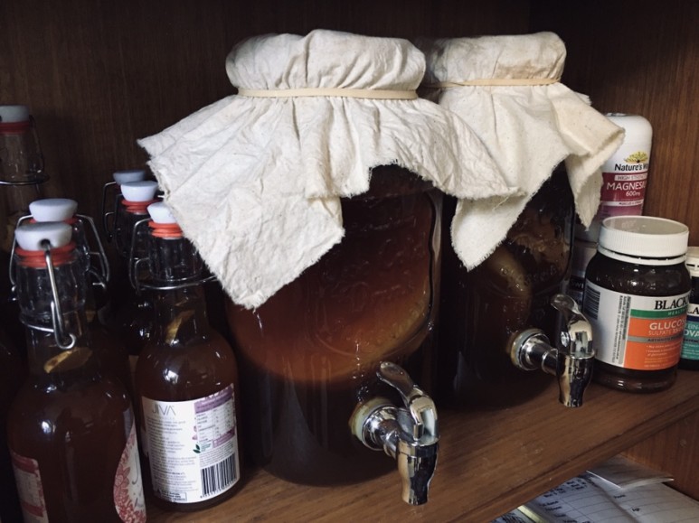 '콤부차(kombucha)' 직접 만드는 먹는 법, 똑똑한 집에서 살기 때문에 집에서 몸에 좋은 5