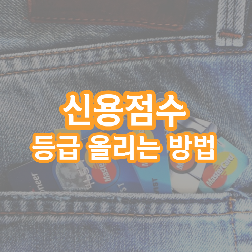  신용점수 등급 올리기 방법 과 점수