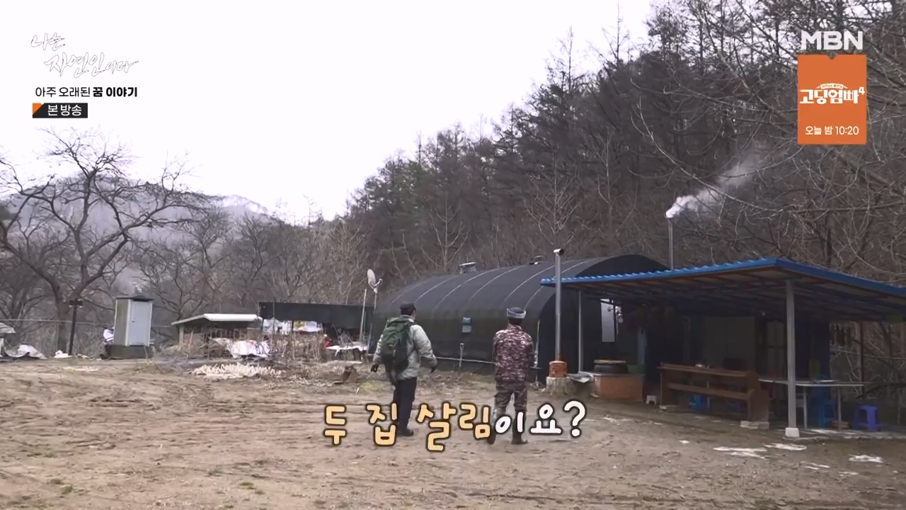 나는 자연인이다.E594.240222p-NEXT.mp4_20240222_195329.175.jpg