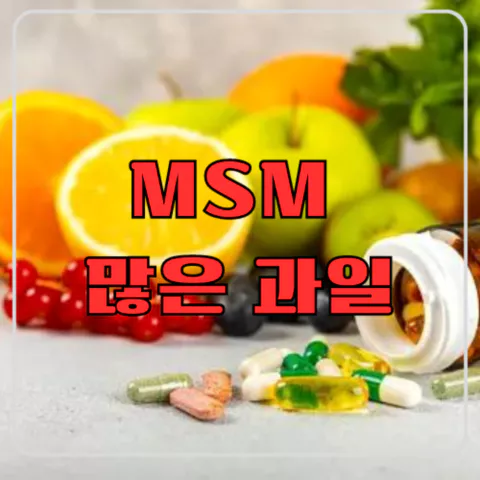 MSM 많은 과일