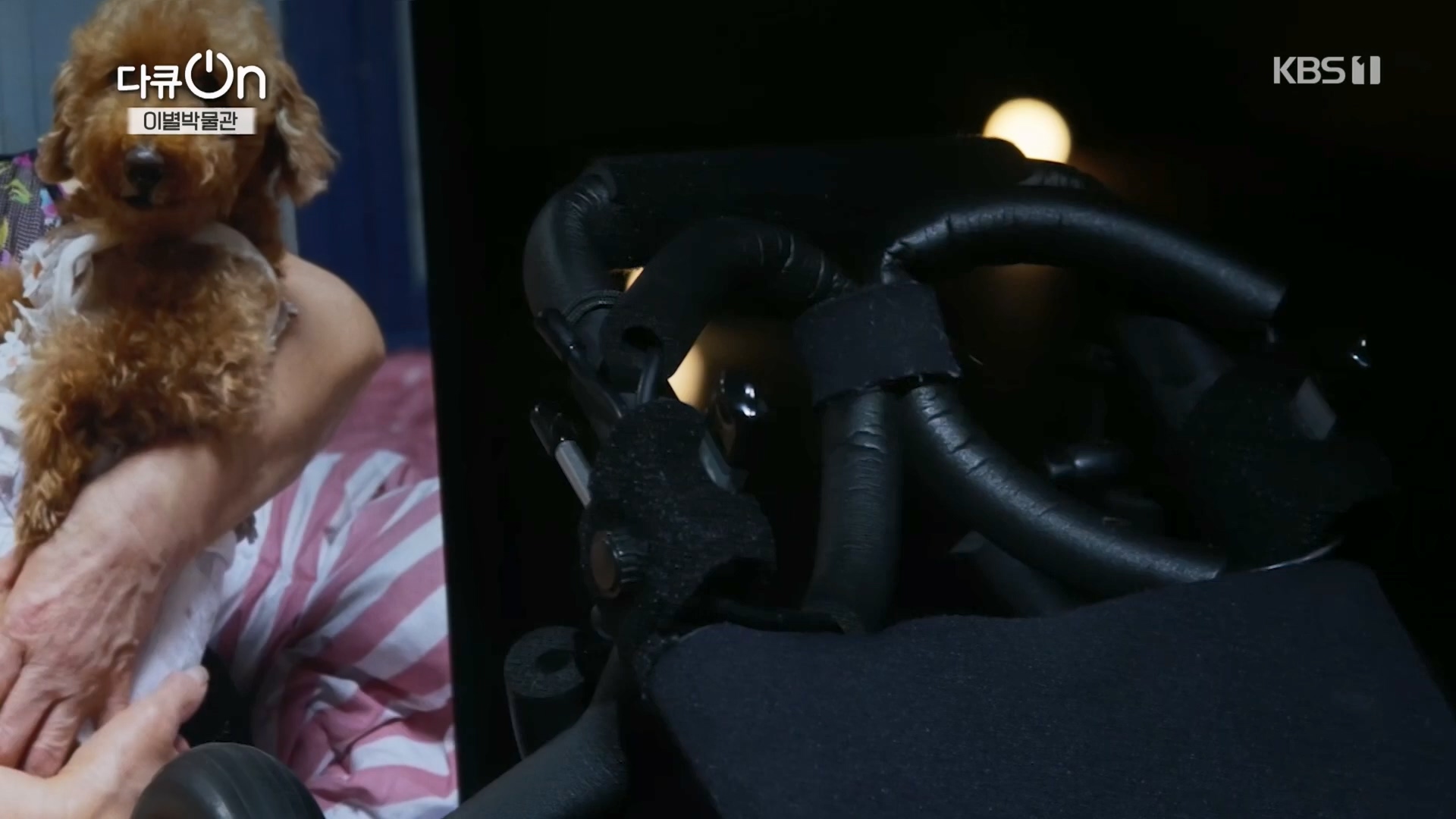 다큐 On.E242.240309p.H264-F1RST.mp4_20240310_144505.886.jpg