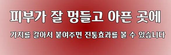  피부가 잘 멍들고 아픈 곳에 가지를 갈아서 붙여주면 진통효과를 볼 수 있습니다