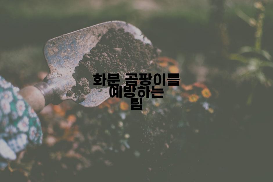 화분 곰팡이를 예방하는 팁