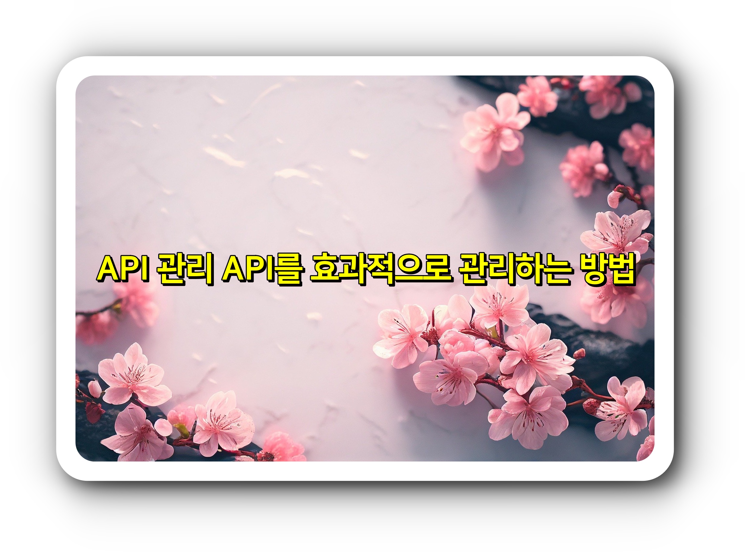  API 관리: API를 효과적으로 관리하는 방법