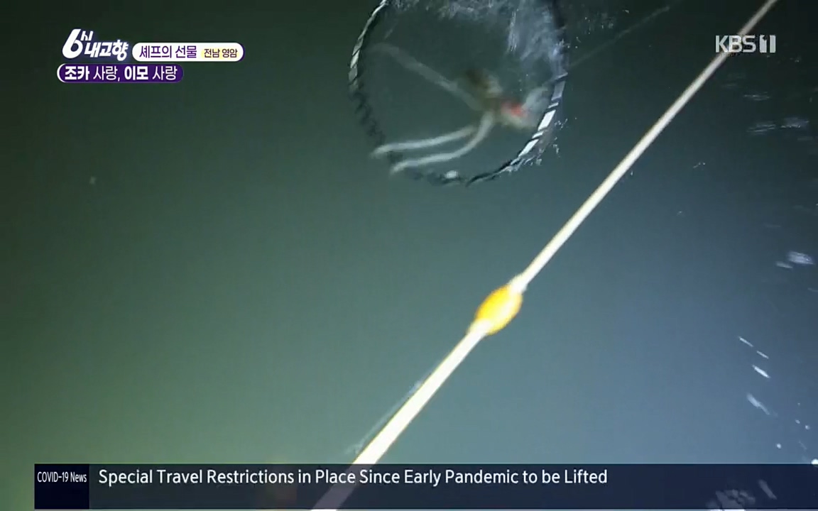 6시 내고향.E7512.220416p.H264-F1RST.mp4_20220502_193715.119.jpg