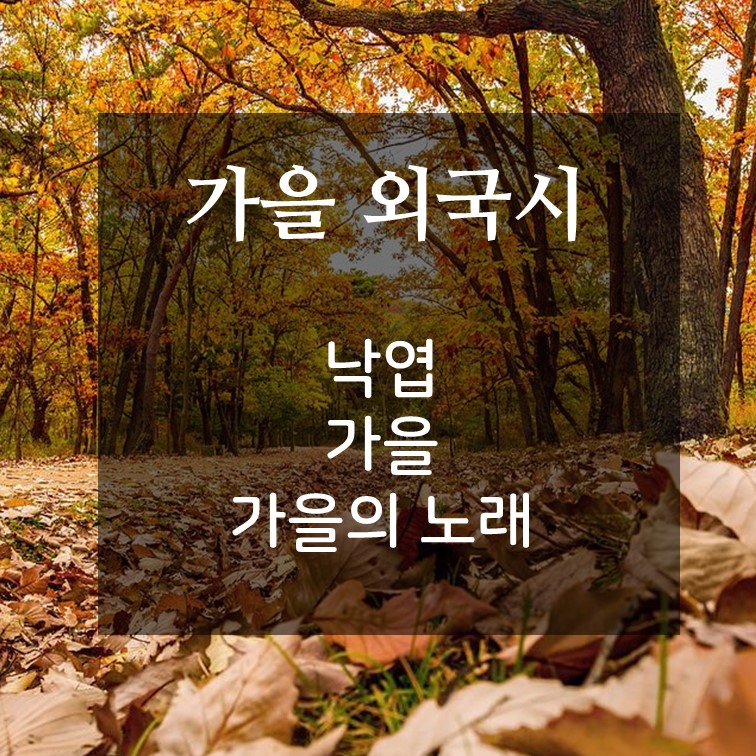 가을-숲