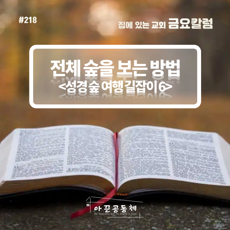 (주)여행길잡이 이미지