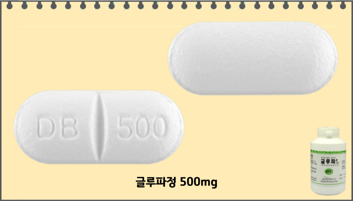 글루파정_모양