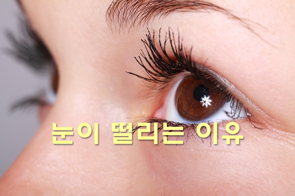  눈이 떨리는 증상과 이유