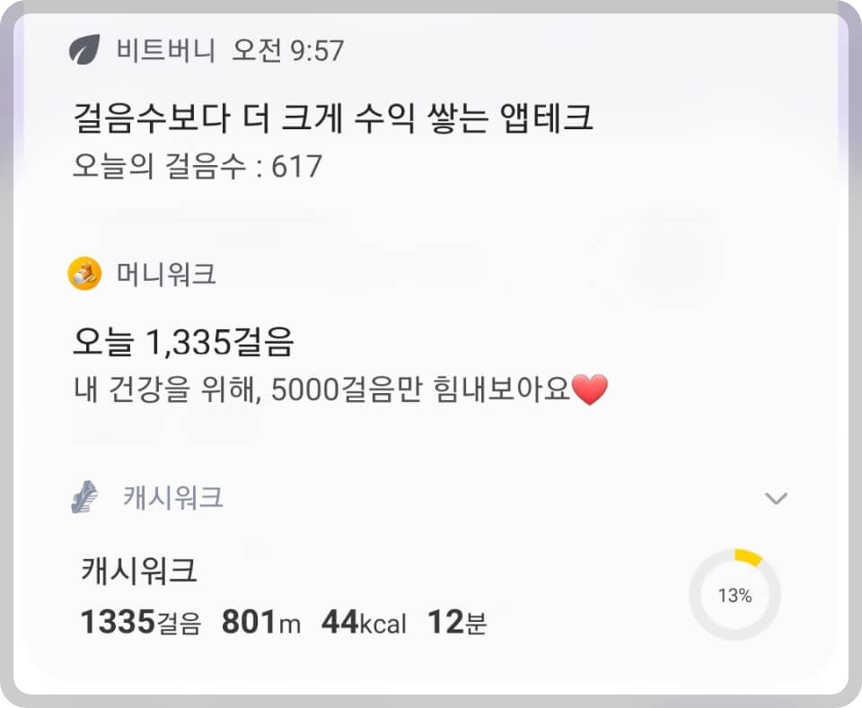 비트버니