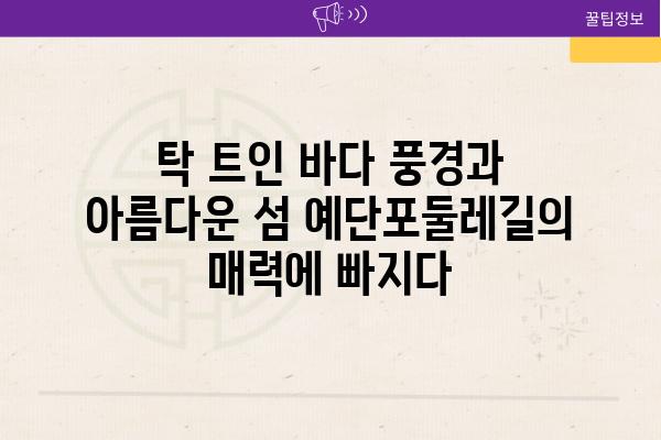 탁 트인 바다 풍경과 아름다운 섬 예단포둘레길의 매력에 빠지다