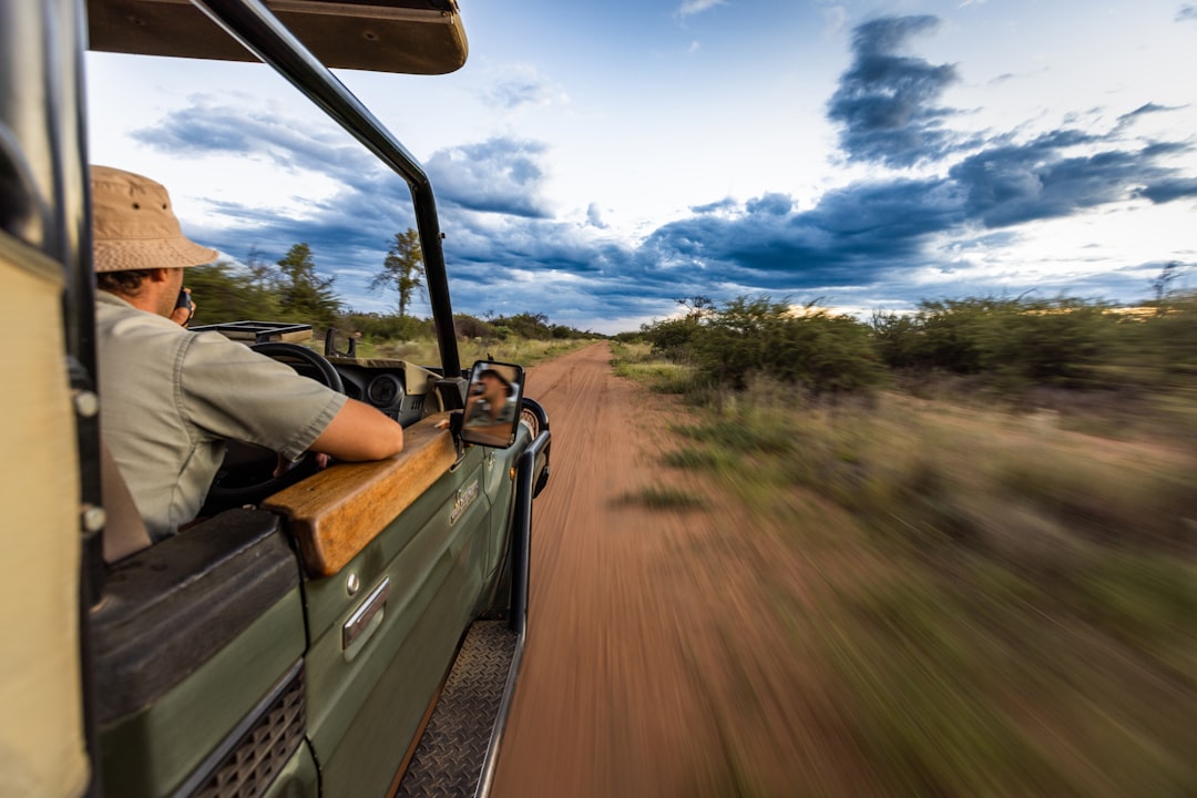 Safari
