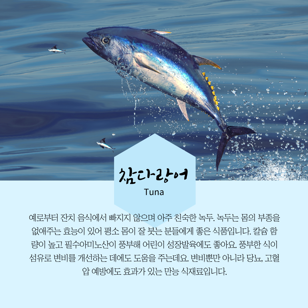 건강한 5월 제철음식 참다랑어