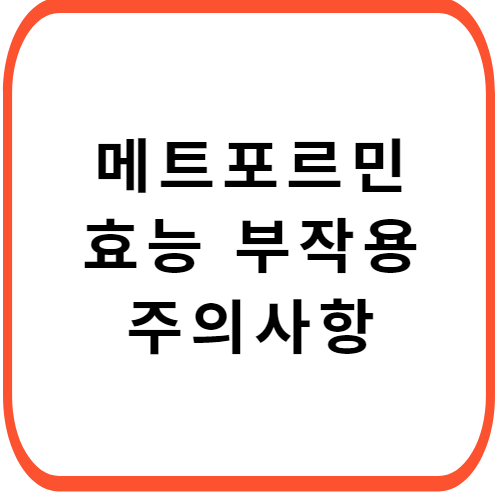 메트포르민-성분-효능-부작용-썸네일