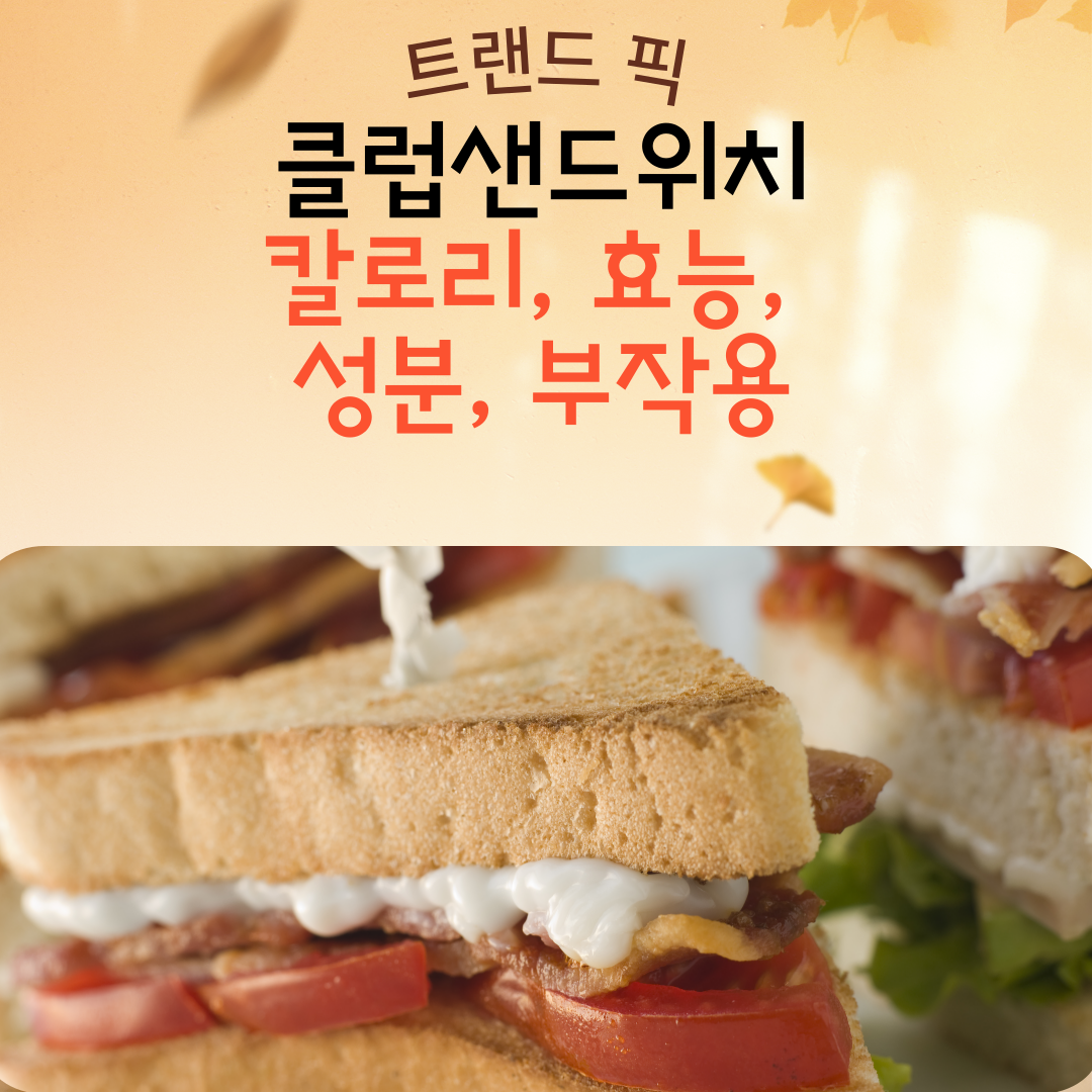 클럽샌드위치 칼로리, 효능, 성분, 부작용 – 고단백 간편식의 대표 메뉴