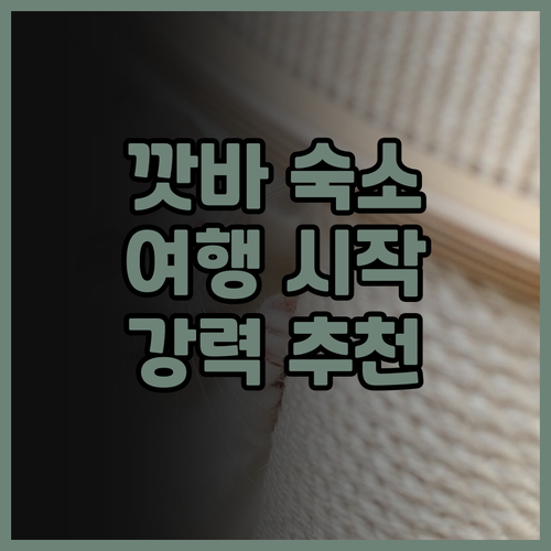 Republic Hostel 깟바 여