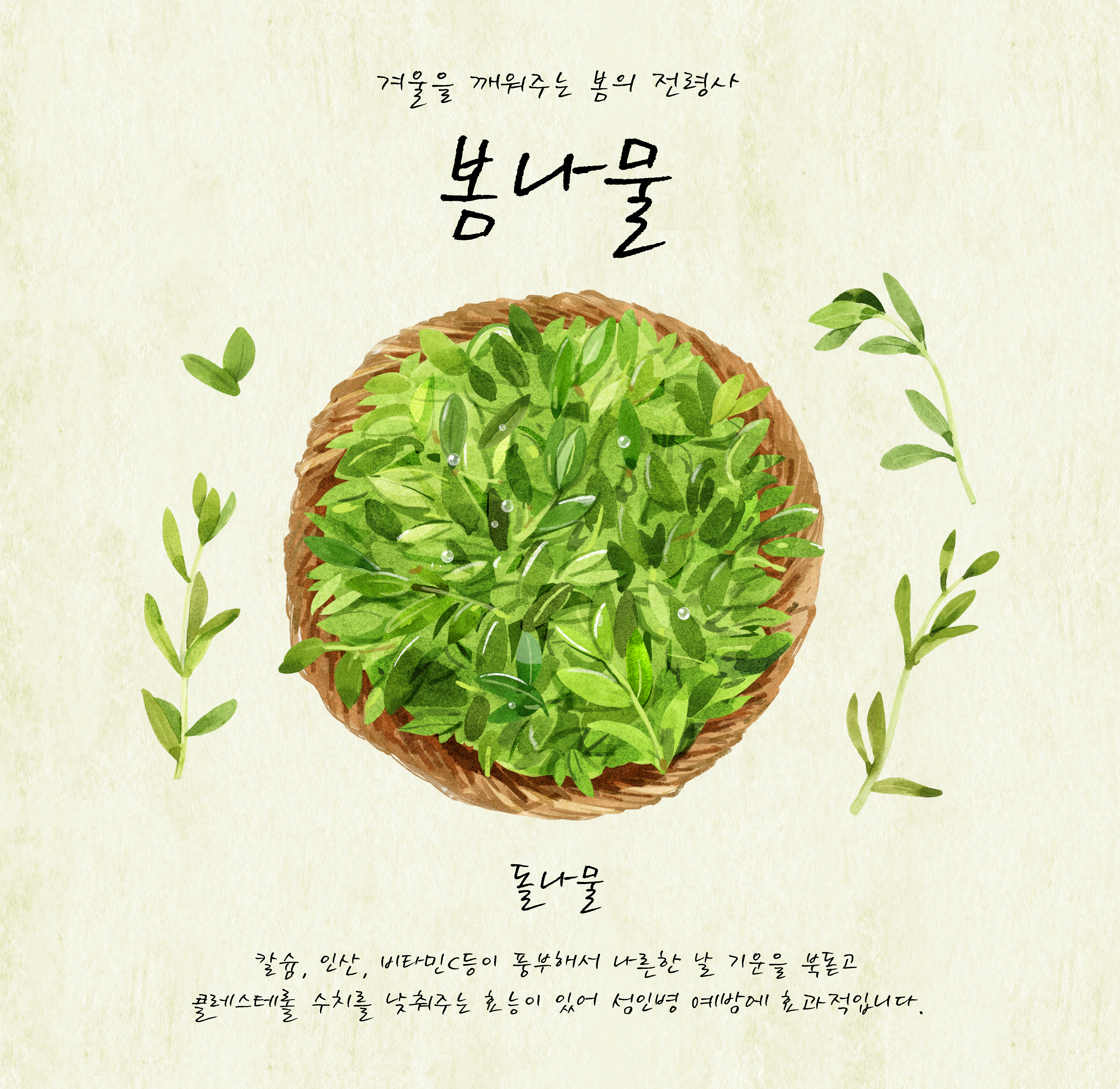맛있는 돌나물