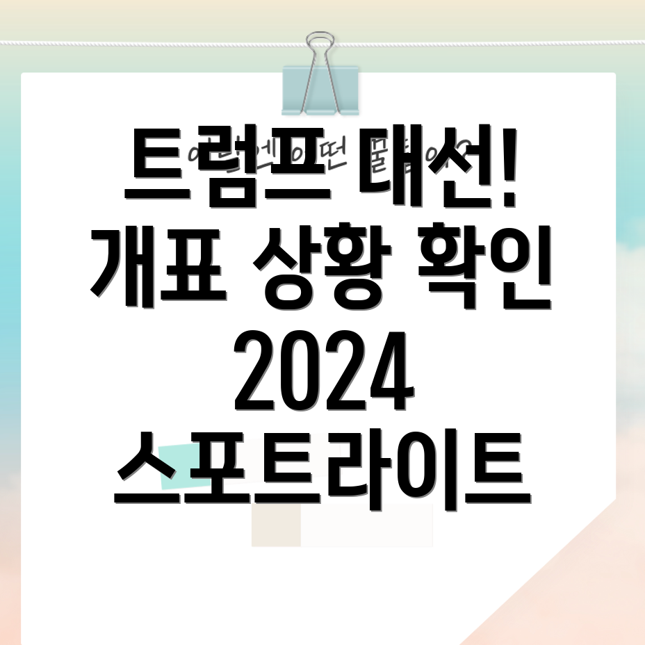 2024년 미국 대선