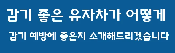 감기 좋은 유자차가 어떻게 감기 예방에 좋은지 소개해드리겠습니다