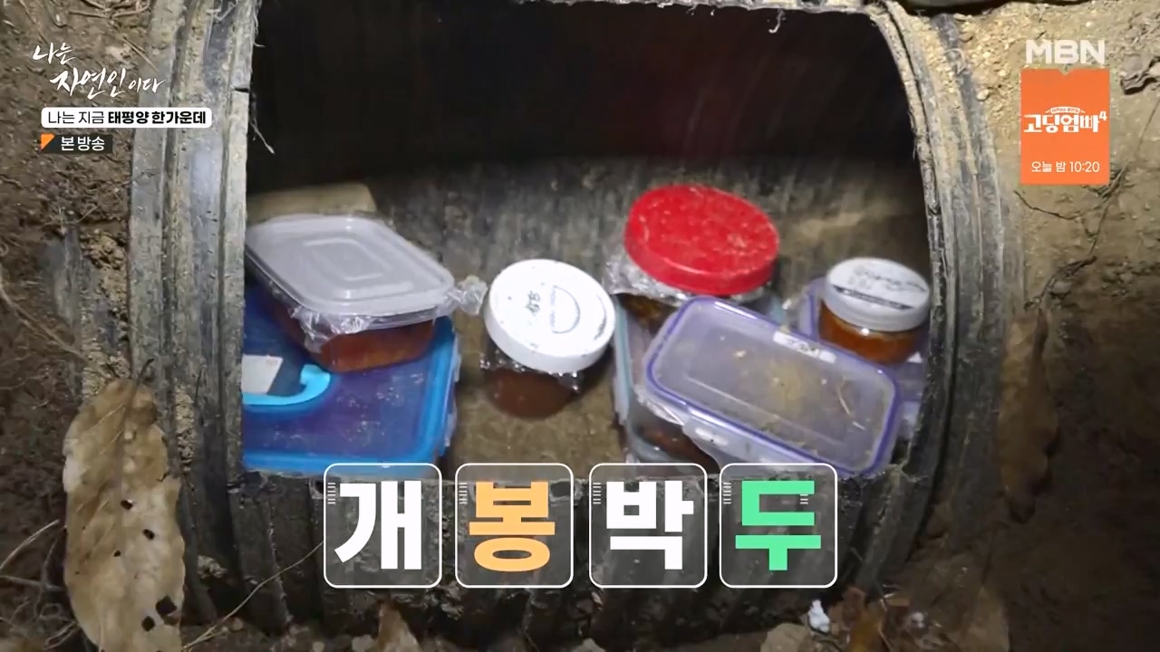 나는 자연인이다.E581.231123p-NEXT.mp4_20231123_200721.312.jpg