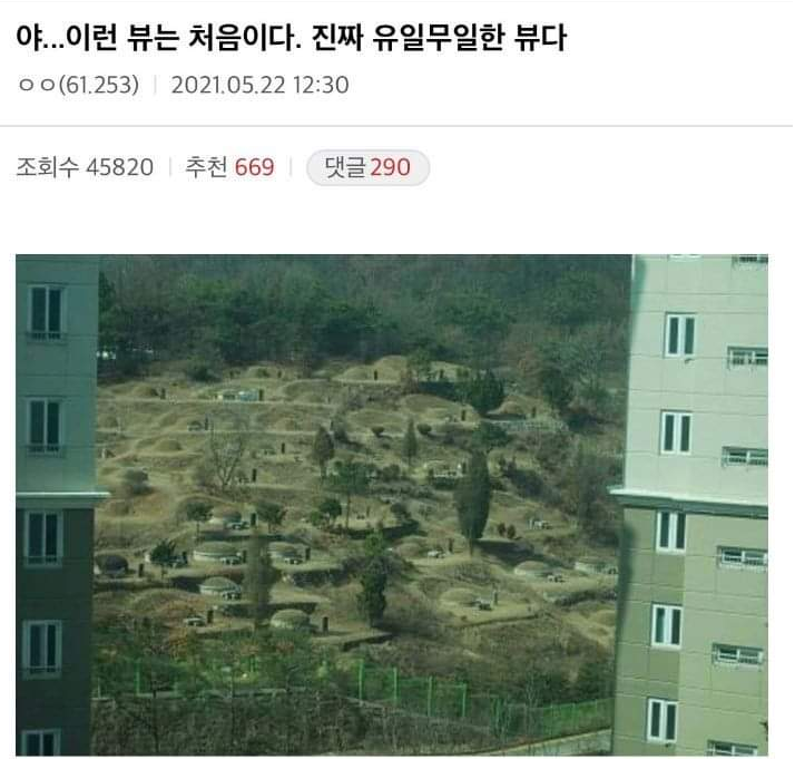  잠이 확 깨는 아파트 뷰