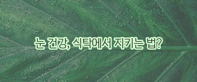 시력에 좋은 음식 10가지