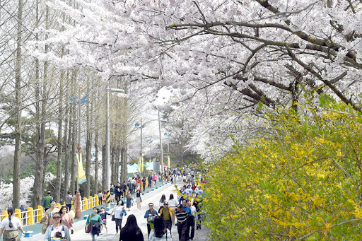 2024 유달산 봄축제 기간 가는 방법 주차장 