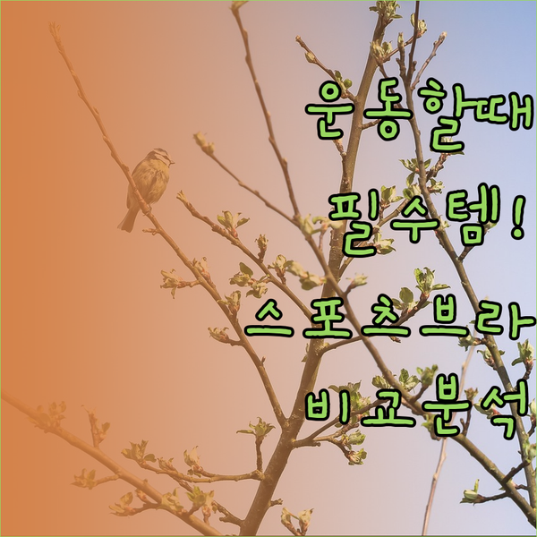 운동할 때 꼭 필요한 스포츠 브라? 