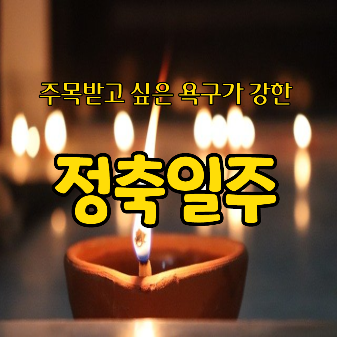  14. 주목받고 싶은 욕구가 강한, 정축일주