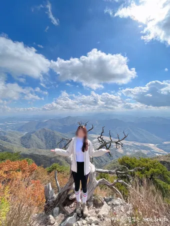 구병산 등산 최단 코스 완벽 가이드 충북 알프스 종주_23