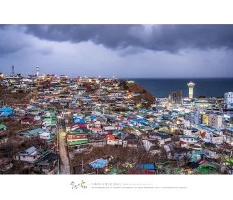 강원도 묵호 여행 묵호항 수산시장 등대 명소_10