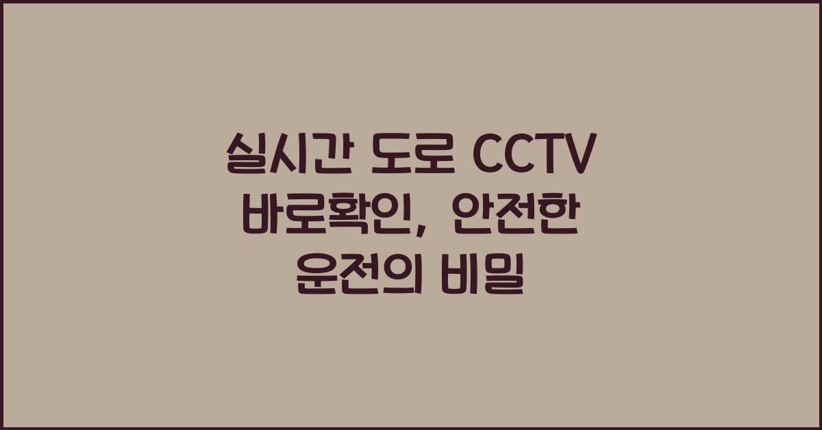 실시간 도로 cctv 바로확인