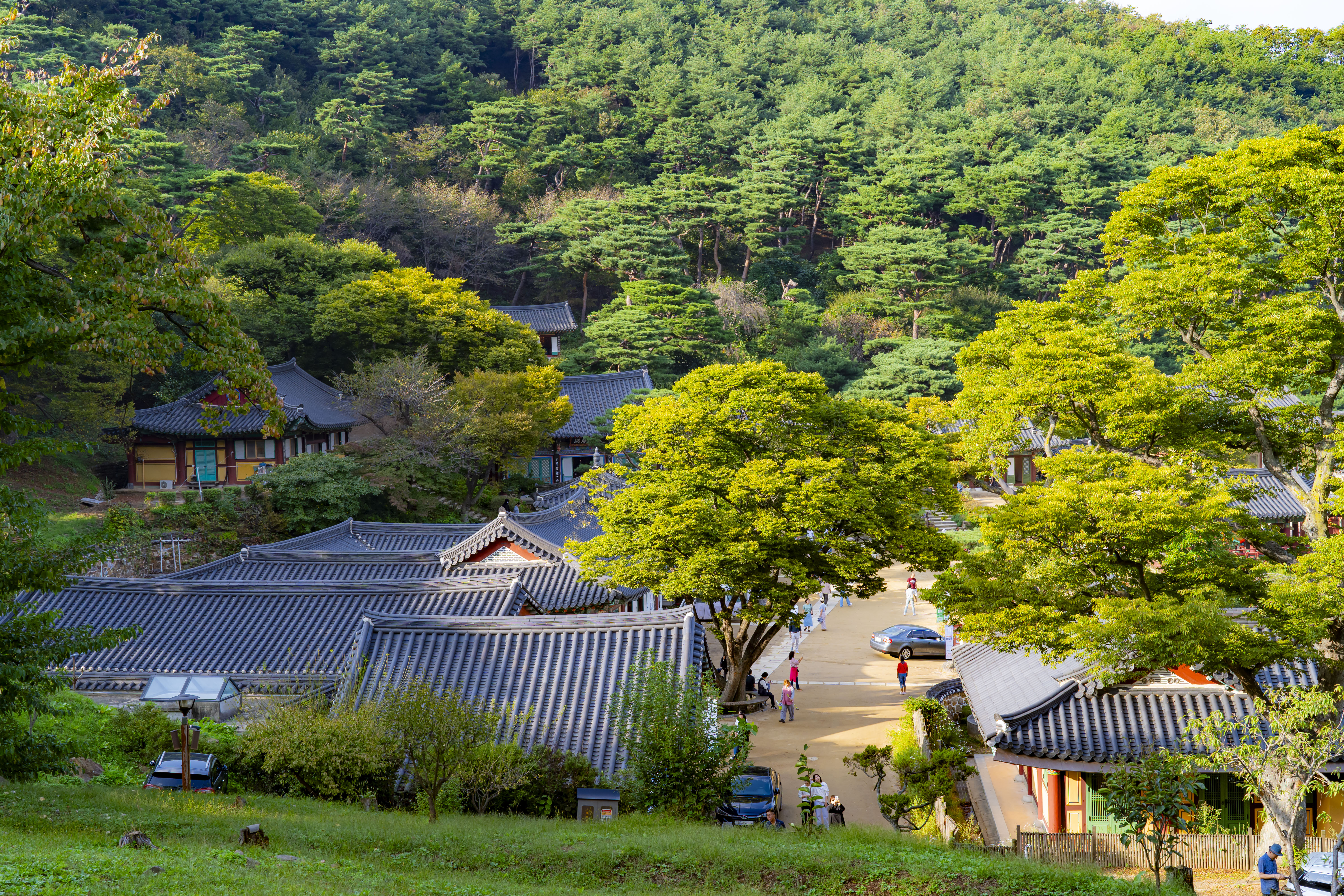 전등사