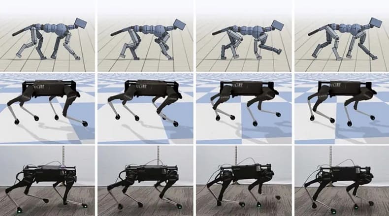 구글 AI는 어떻게 로봇에게 개의 움직임을 가르치나