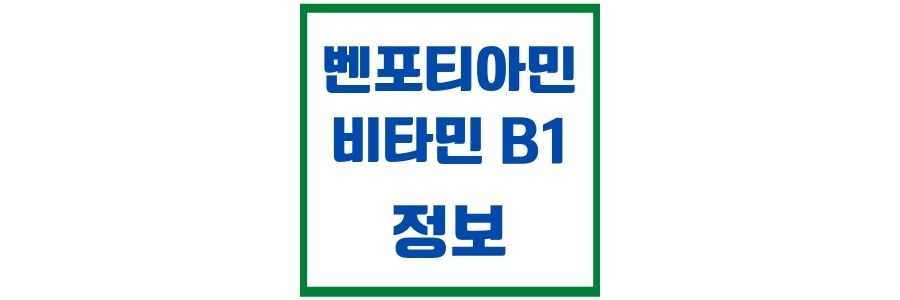  벤포티아민-비타민B1에 대한 부연 설명