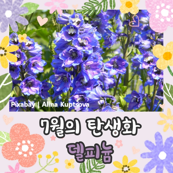 7월의 탄생화 당신을 행복하게 해줄 델피늄