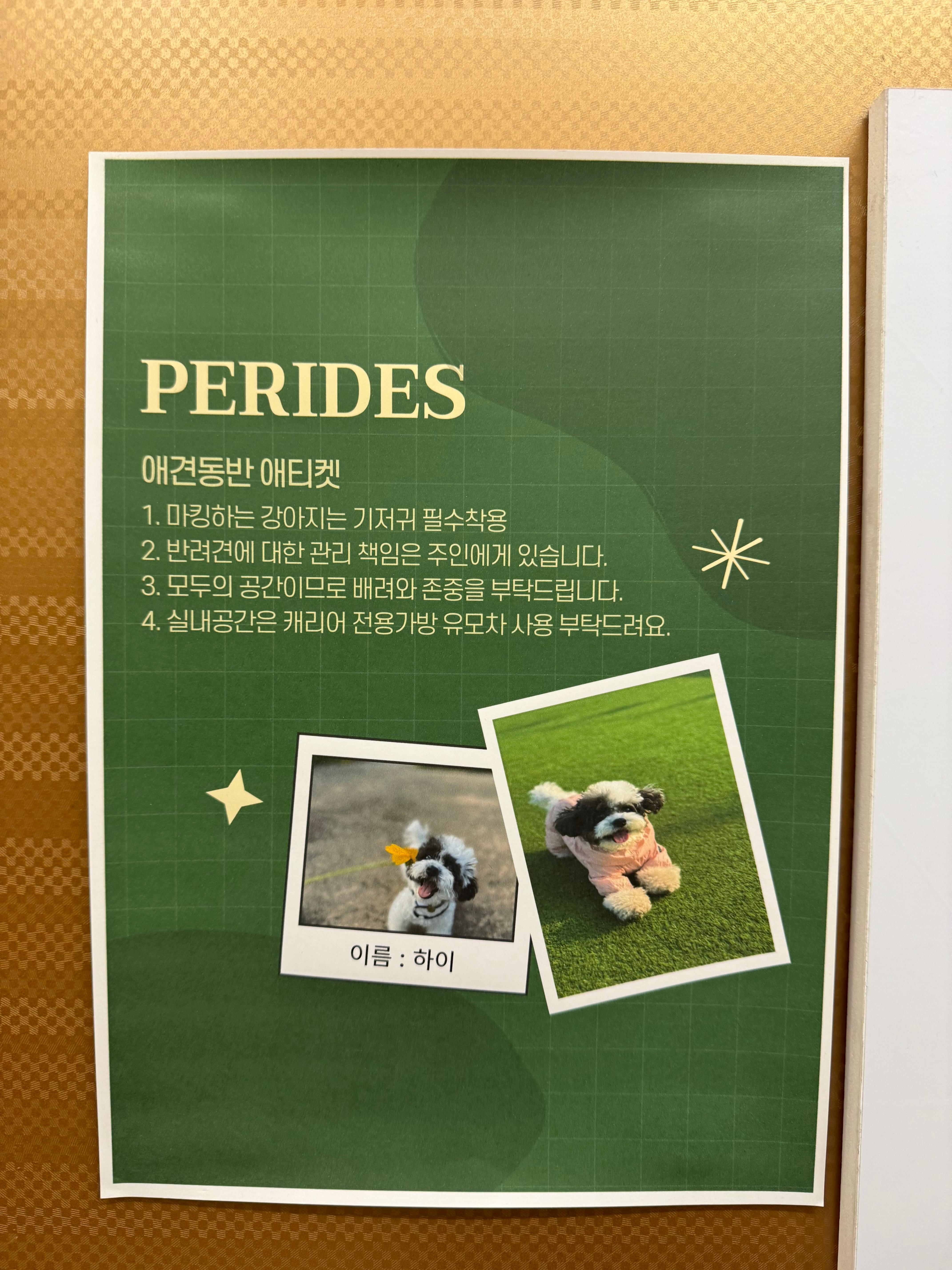 마산가포페리데스