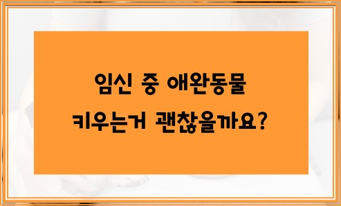 임신 중 애완동물 키우는거 괜찮을까요